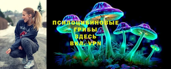 ПСИЛОЦИБИНОВЫЕ ГРИБЫ Богородицк